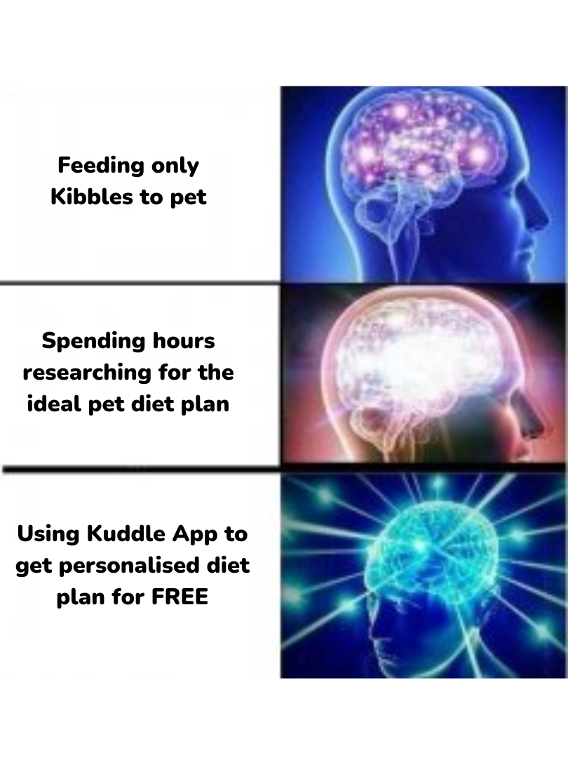 Is your pet's diet as healthy as it could be? Get vet-approved diet plans for your pet for free on "Kuddle Food" 🐶🐱

Check it out 👇
https://kuddle.pet/home/navigation/food