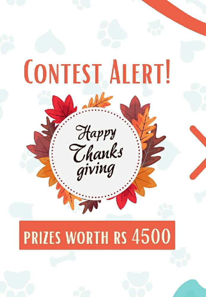 CONTEST ALERT!!!

⭕ How to participate? ⭕

1. Follow us on Instagram (@kuddle.pet)
2. Post your favourite picture of your pet on Kuddle Social.
3. There's no step 3!

🍪 How to earn brownie points? 🍪

-Share Kuddle's Thanksgiving contest post on your Instagram stories and tag your friends in comments. (Post link- https://www.instagram.com/p/ClX-YWJs-gi/?igshid=YmMyMTA2M2Y=)

- Tell us about your favourite memory with your pet on Kuddle Social.

🏆 Winners will be chosen based on likes on your picture on Kuddle Social. More the likes, higher the chances of winning? 🏆

Get set woof 🐶😻🐾

(Note: This contest is valid only for Bangalore residents)