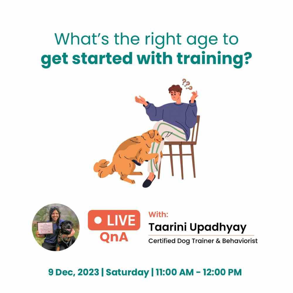 Find all answers to your training related questions this Sunday by joining Live Masterclass with Dog behaviour expert Taarini Upadhyay!

Limited seats available! Register now 🔗

https://forms.gle/UH4dGJ8Sipx3NxAD9