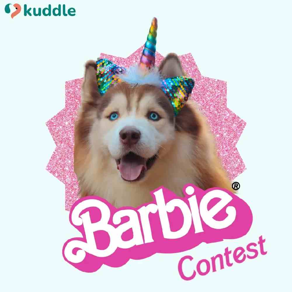 How would your pets dress up in the Barbie World? 🩰💗💄🌸🌷

Share their pink posts and reels and stand a chance to win a Free at-home grooming session from Kuddle. All participants will win Flat Rs. 200 Off on their next Kuddle grooming 🥳

What are you waiting for? Participate now 💖

https://www.instagram.com/p/Cu6uVr1rPyQ/?igshid=MmU2YjMzNjRlOQ==