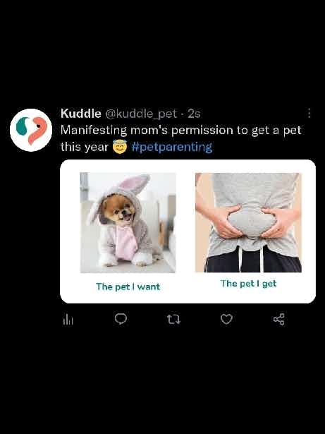 Hello pet parents!!!
Guess who's live on Twitter? It's us!!! Follow us on Twitter for some fun + educational content 🐶🐱

https://twitter.com/kuddle_pet/status/1608069668862058503?t=LUlh5QjucYxP1SJ1udlltQ&s=19