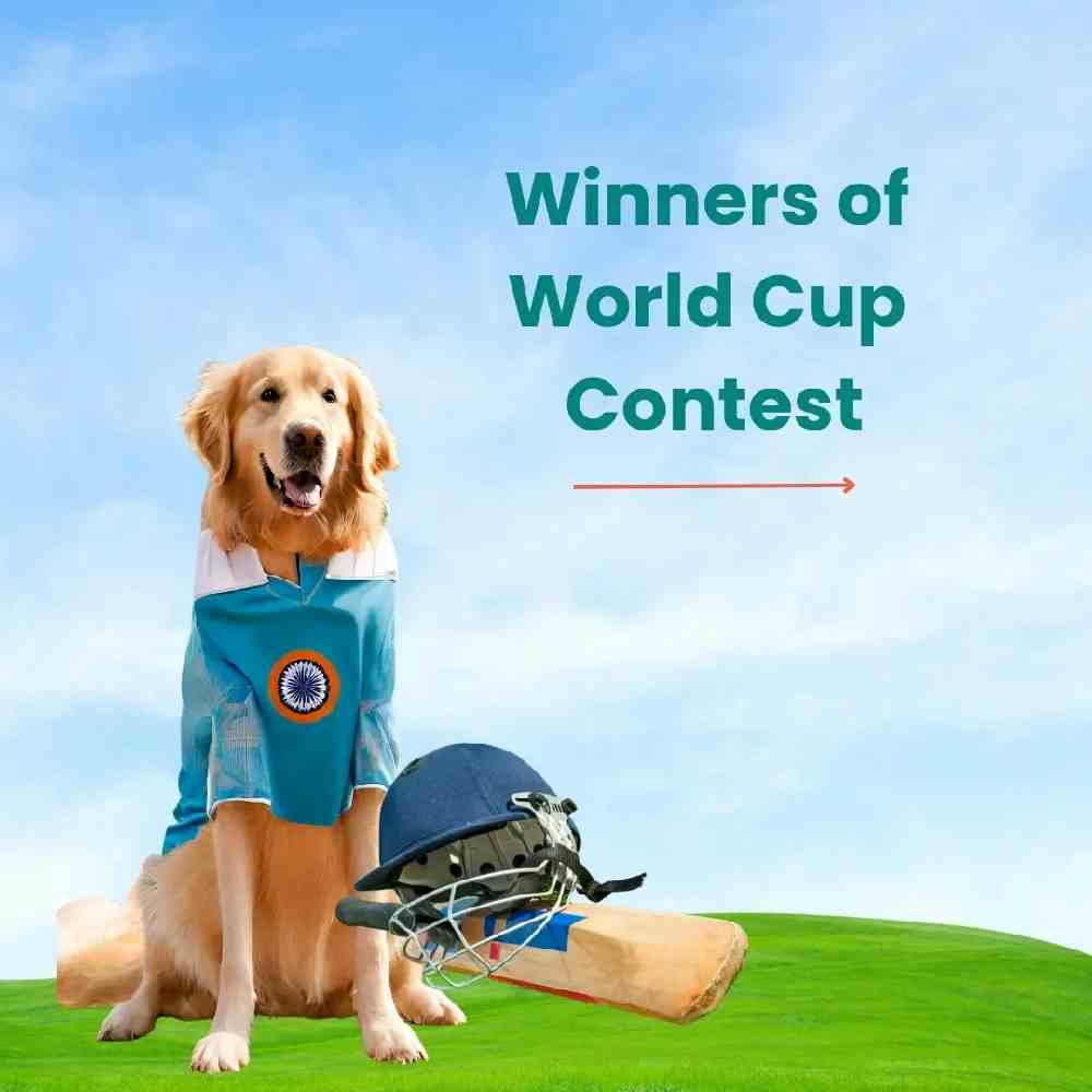 It was super fun reading all of your comments for the World Cup! Based on your votes, the lucky winners of the World Cup Contest are 🥁🥁🥁

🏆 Nidhi, Mom of Star (Most liked comment on Instagram) 

🏆 Purnima, Mom of Tux, Neo and Tyson (Most liked comment on Kuddle Social)

Follow us for more such amazing contests and stay tuned! 🥳