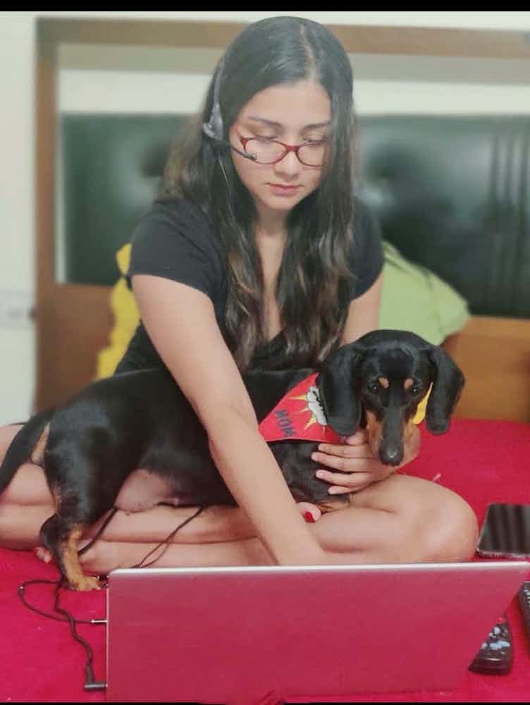 How to prepare for a zoom meeting 🐶