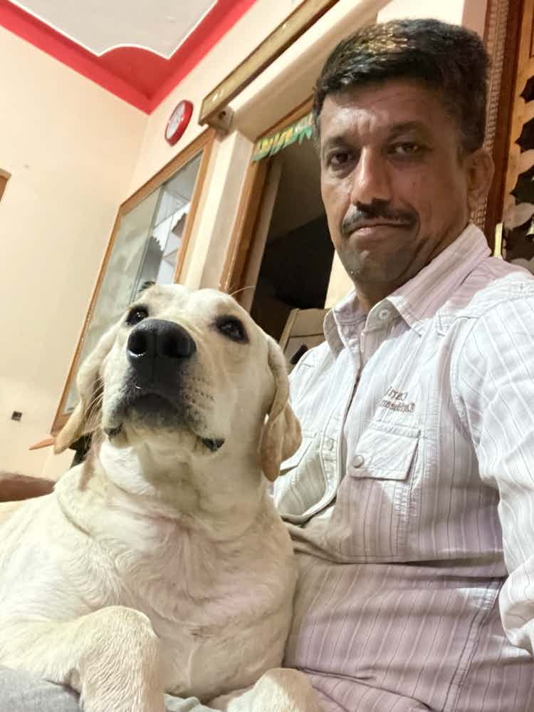 11 months male Labrador puppy for adoption in Bangalore. Fully vaccinated and dewormed, very friendly and naughty boy looking for adoption. Interested can contact @9740233110