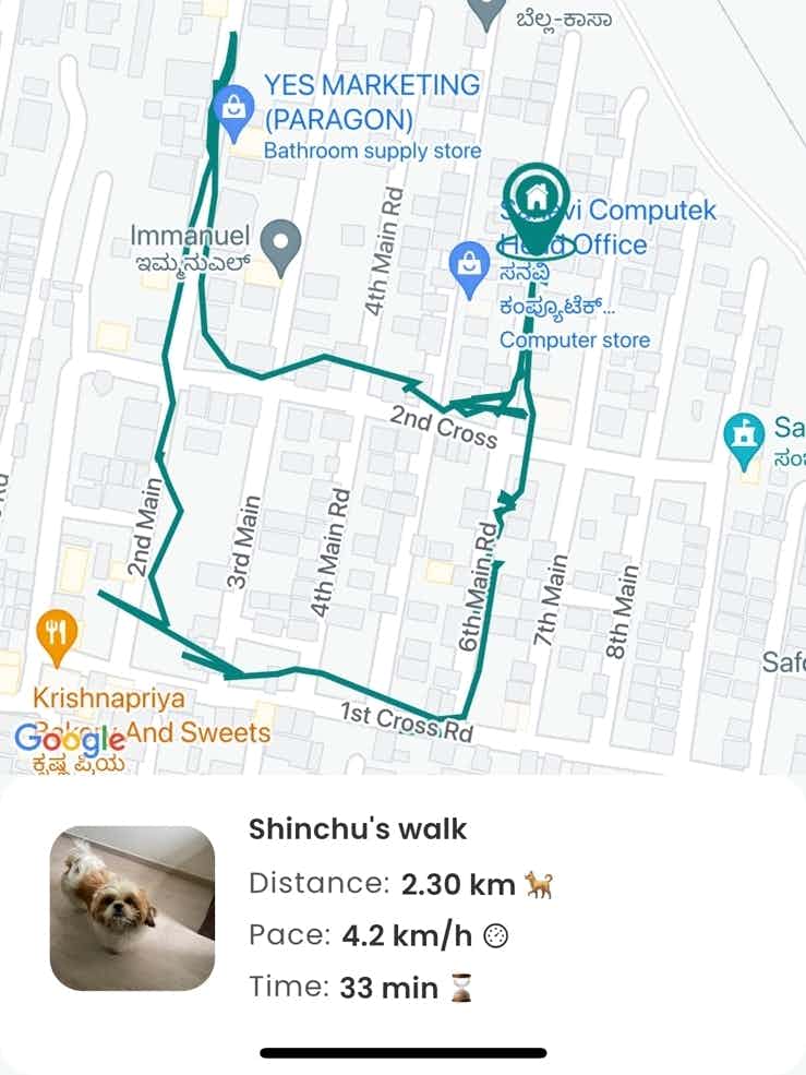 It's supercool that now I can track Shinchu's walk and get stats from his daily walk 🤩 
 #peakbangalore