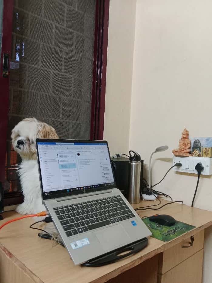 And then, I end up attending meetings with this buddy who makes sure I do my work properly😂
