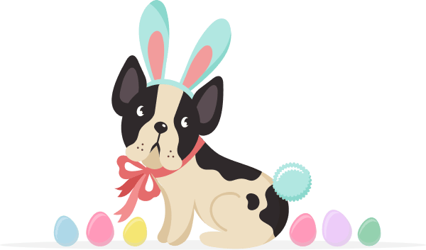 3 most common ear problems in dogs
