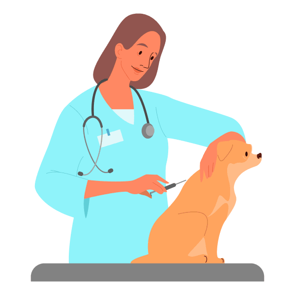 Vaccination schedule for cats and dogs