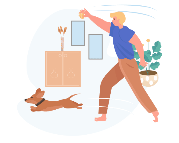 Most Important Dog Training Tips for Beginners