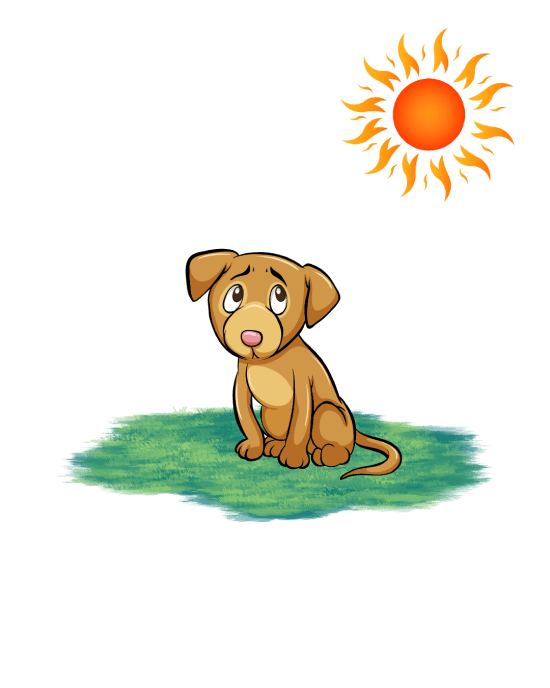 Heatstroke in dogs - Symptoms and Treatment