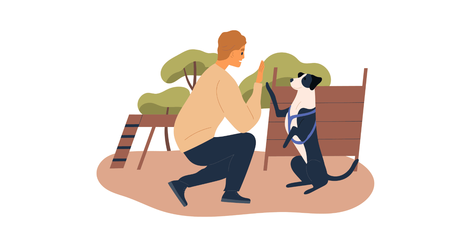 From Fetch to Come - Training Your Dog to Recall Like a Pro