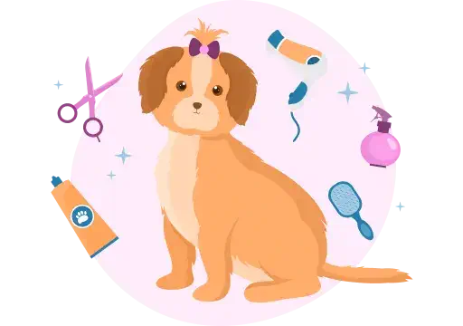 Conveniently book appointments for pet grooming, vet consultation, dog walk, vet video call & diet
