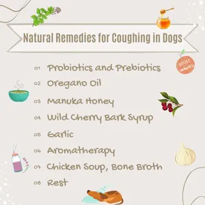 Natural Remedies of Coughing in Dogs